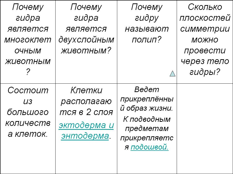 Кракен лучший маркетплейс