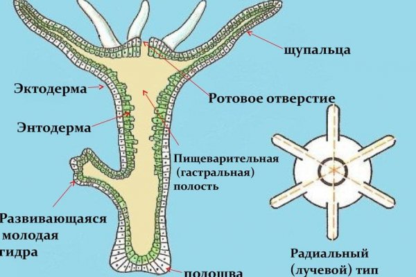 Логин и пароль от кракен